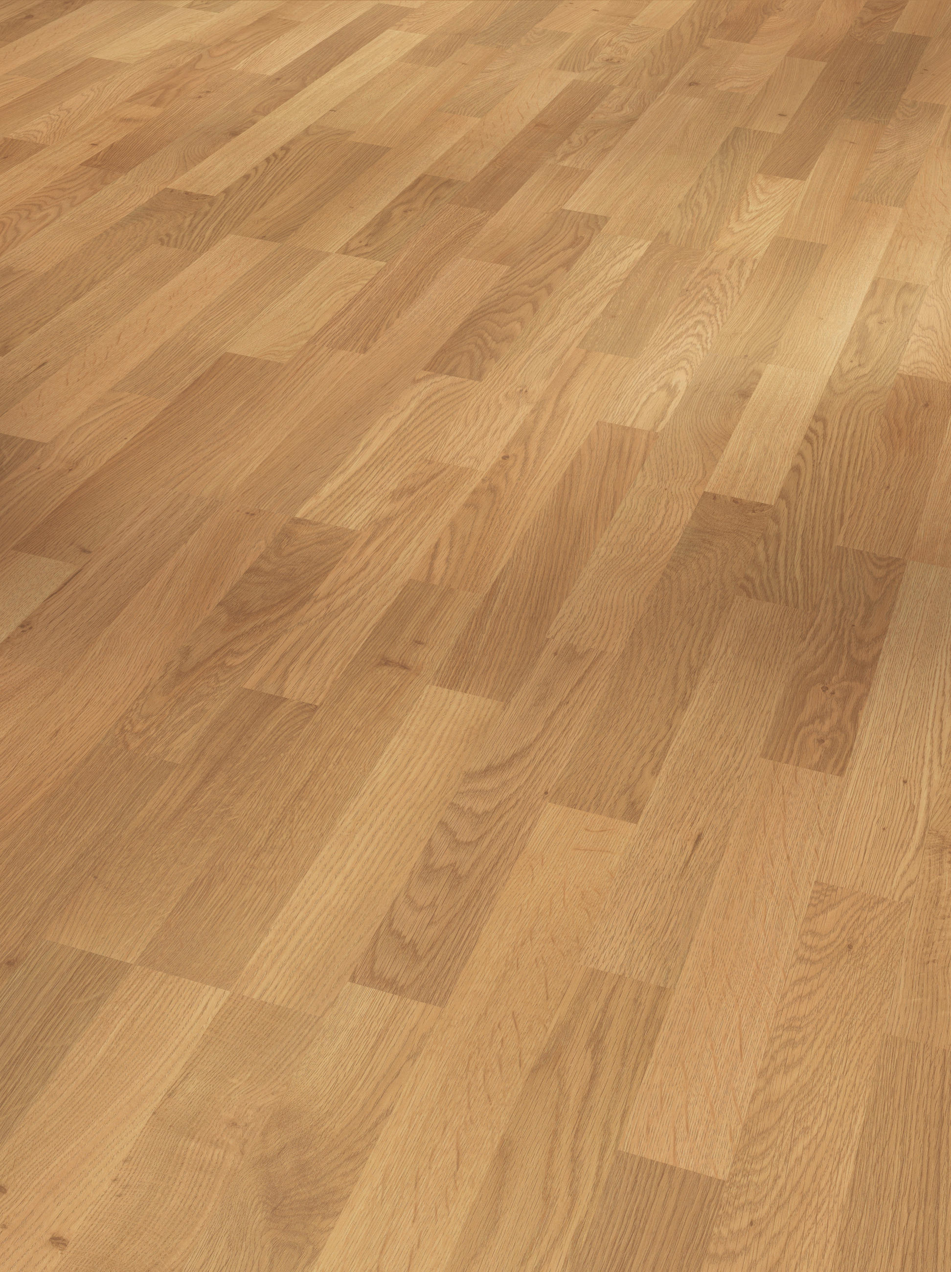 LAMINATBODEN Laminat Basic 400  per  m² - Eichefarben, KONVENTIONELL, Holzwerkstoff (128.5/19.4/0.8cm) - Parador