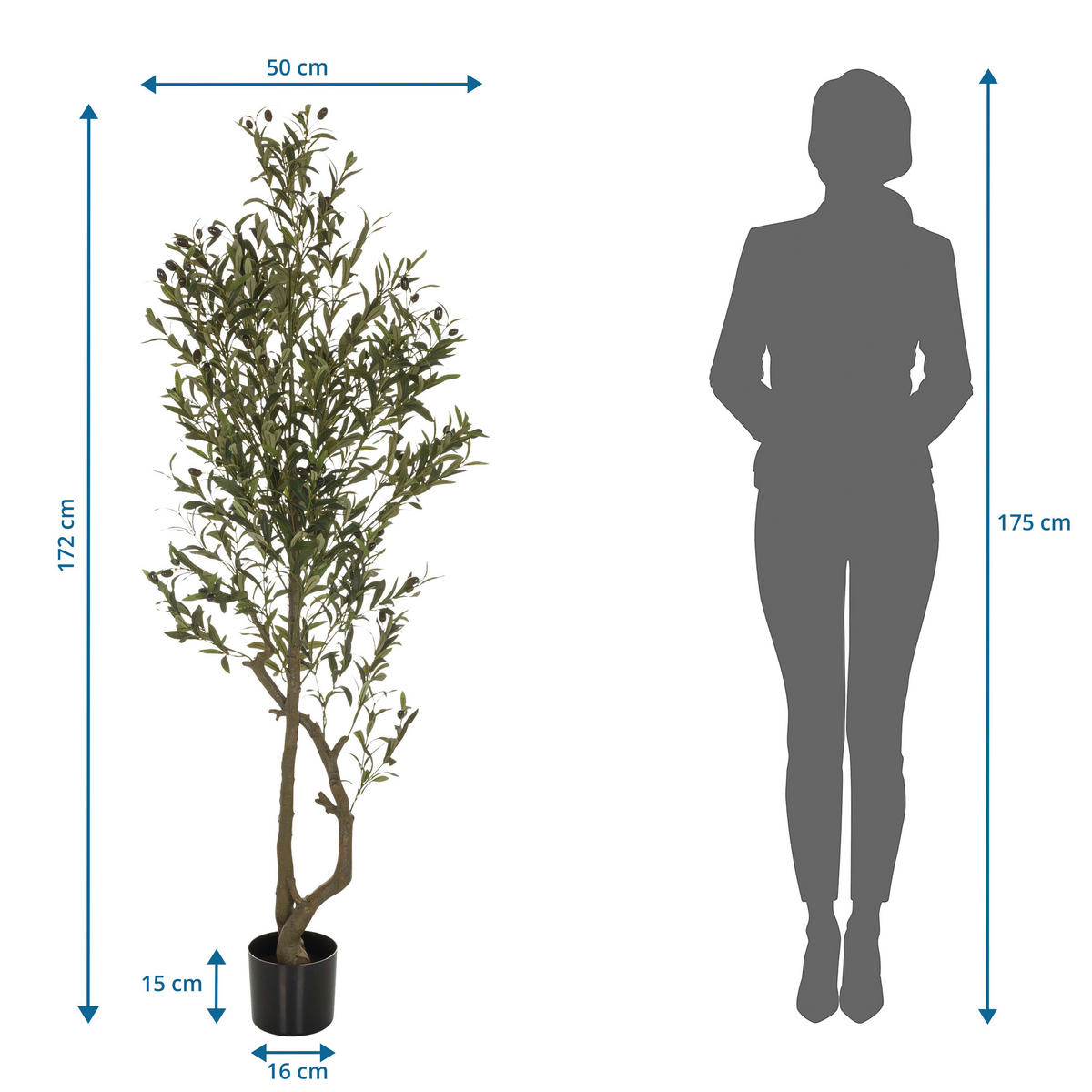 KUNSTPFLANZE Olive  - Schwarz/Braun, Basics, Kunststoff (50/172/50cm) - MID.YOU