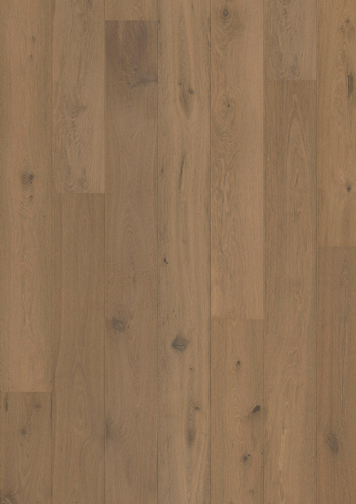 LANDHAUSDIELE Rustico Trend Eiche Cafe!Pur 100014601  per  m² - Design, Holz (220,5/17,6/1,3cm) - Tilo
