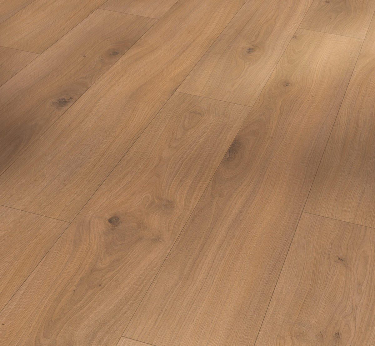 LAMINATBODEN Laminat Basic 400  per  m² - Eichefarben, Basics, Holzwerkstoff (128.5/19.4/0.8cm) - Parador
