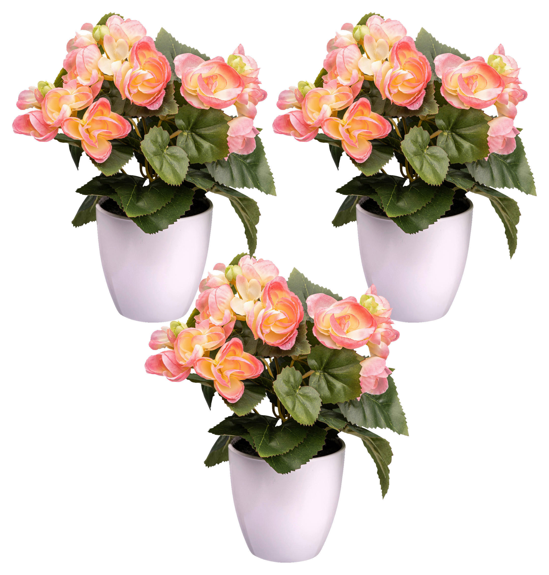 KUNSTPFLANZE Begonien 24 cm  - Rosa/Weiß, Design, Kunststoff (24cm) - P & B