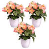 KUNSTPFLANZE Begonien 24 cm  - Rosa/Weiß, Design, Kunststoff (24cm) - P & B