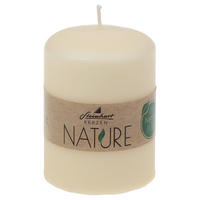 STUMPENKERZE  - Honig, Basics, Naturmaterialien (5,7/8,0cm) - Steinhart