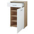SCHUHSCHRANK foliert, lackiert, matt Eichefarben, Weiß - Chromfarben/Eichefarben, KONVENTIONELL, Holzwerkstoff/Metall (60/104/38cm) - Xora
