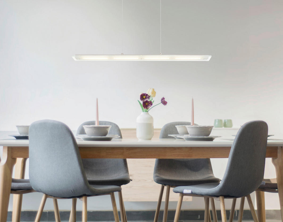 ZÁVĚSNÉ LED SVÍTIDLO, 88/9/80-150 cm - průhledné/čiré, Design, kov/plast (88/9/80-150cm)