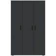 DREHTÜRENSCHRANK  in Anthrazit  - Anthrazit/Schwarz, KONVENTIONELL, Holzwerkstoff/Kunststoff (111/179/52cm) - Carryhome