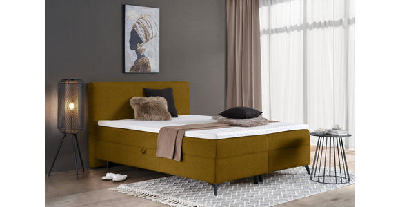 BOXBETT 160/200 cm in Goldfarben - Goldfarben/Schwarz, Design, Holz/Holzwerkstoff (160/200cm) - Xora