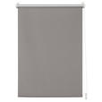 ROLLO 100/160 cm  - Grau, Design, Textil (100/160cm) - Homeware