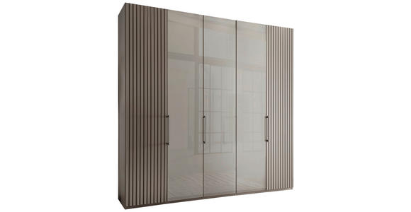 DREHTÜRENSCHRANK 250/216/58 cm,  in Hellgrau, 5-türig  - Schieferfarben/Hellgrau, Design, Glas/Holzwerkstoff (250/216/58cm) - Novel