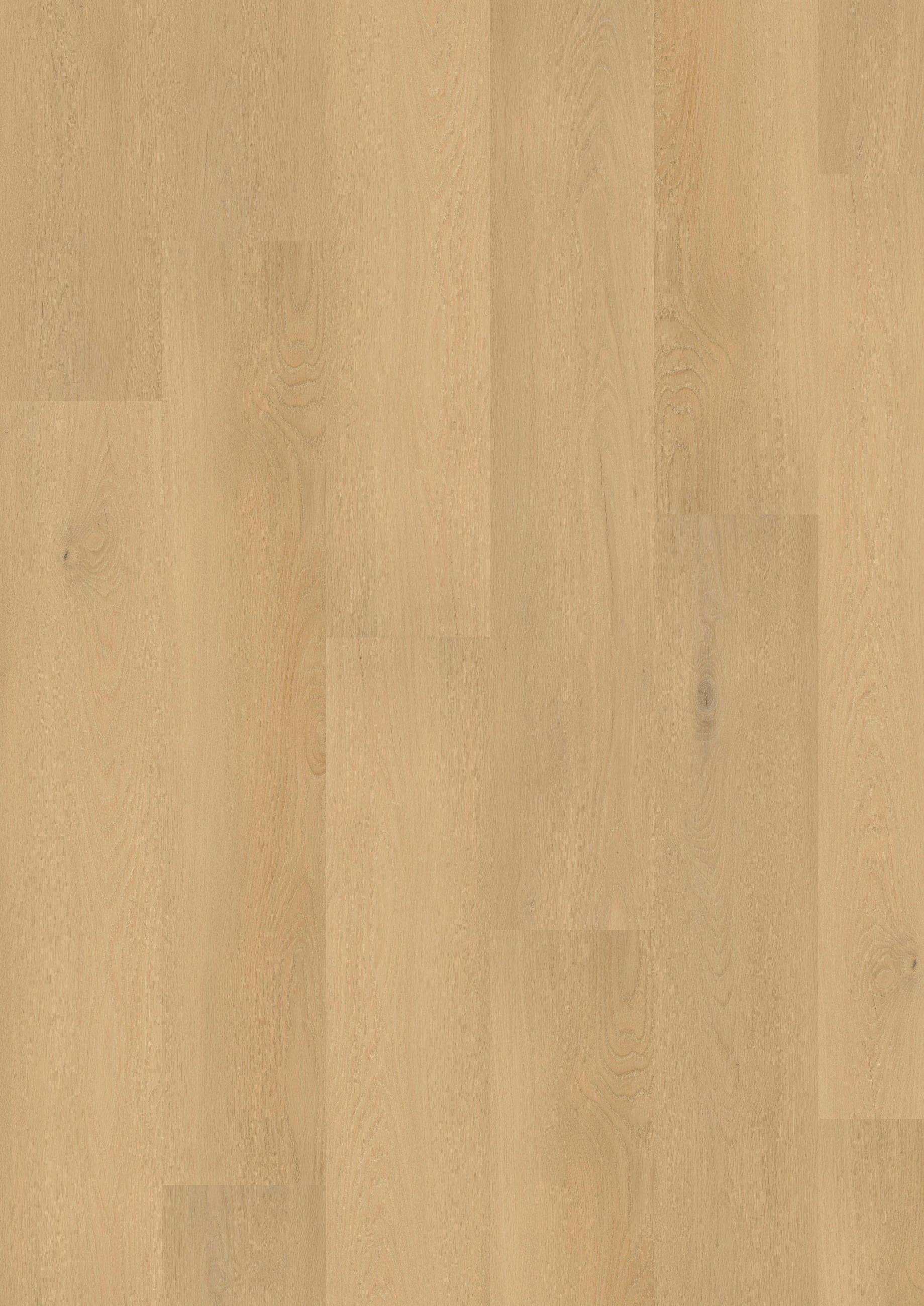 VINYLBODEN NOVO Eiche Puna 100062301  per  m² - Eichefarben, Design, Holzwerkstoff (120,5/21/0,98cm) - Tilo