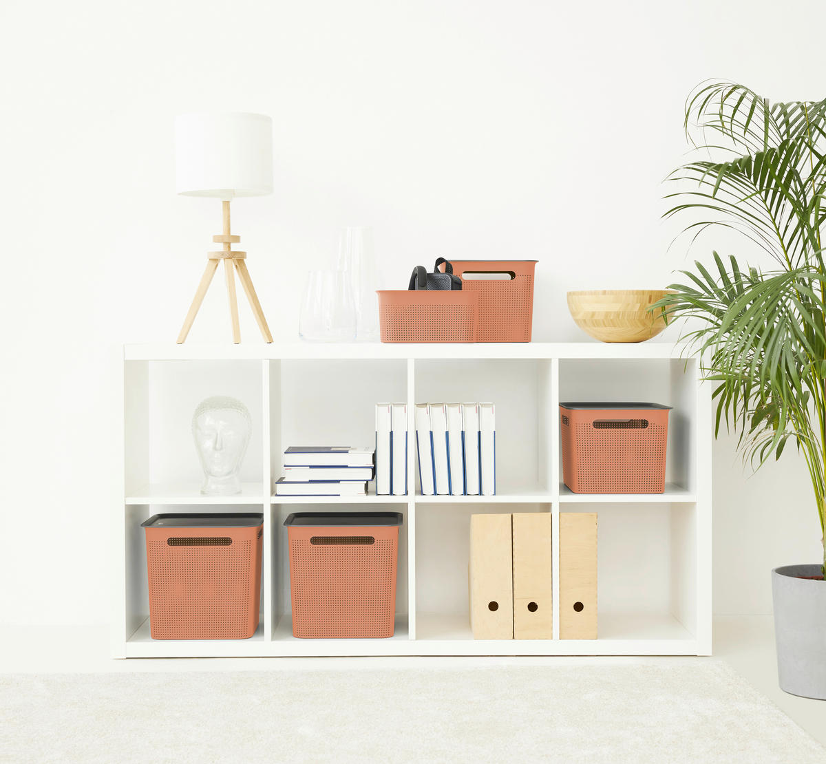 BOX     - Koralle, KONVENTIONELL, Kunststoff (18/21,1/26,2cm) - Rotho