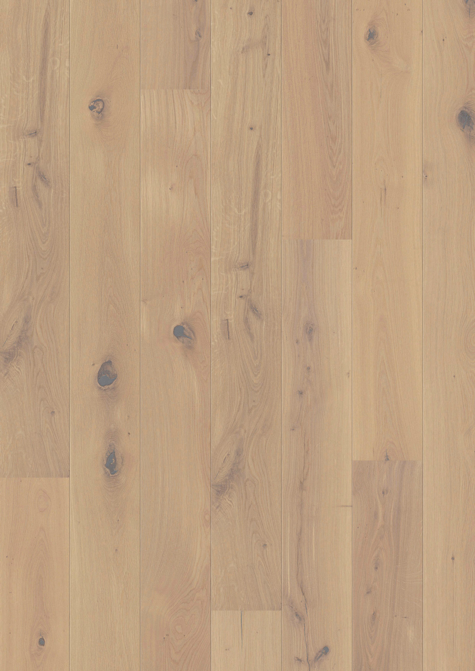 LANDHAUSDIELE MARCANTO TREND Eiche Weiss 100027602  per  m² - Eichefarben, Design, Holz (220,5/17,6/1,3cm) - Tilo