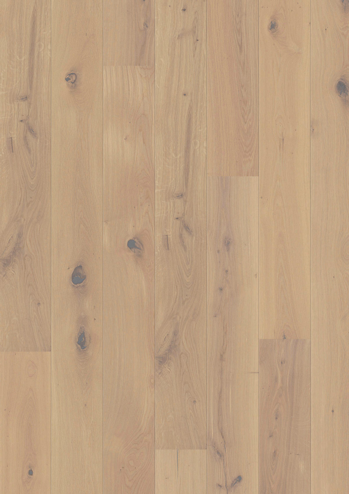 LANDHAUSDIELE MARCANTO TREND Eiche Weiss 100027602  per  m² - Eichefarben, Design, Holz (220,5/17,6/1,3cm) - Tilo