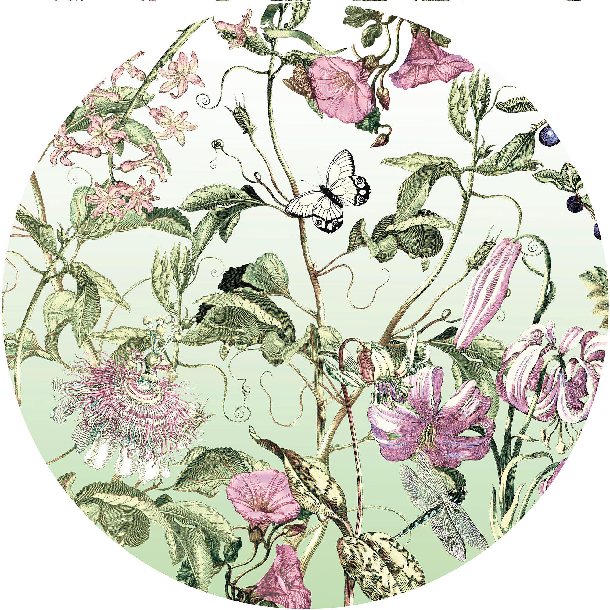 Fototapete D1-075 Louloudi