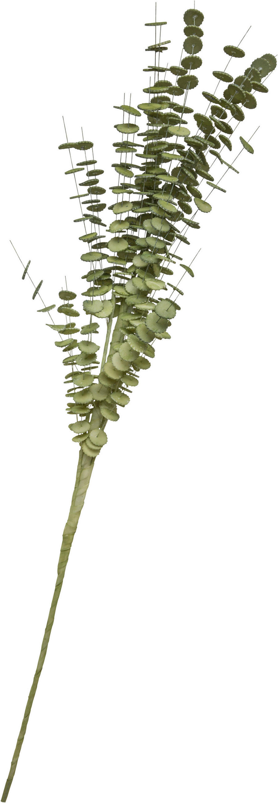 VEŠTAČKI CVET - zelena, Osnovno, metal/plastika (103cm) - Ambia Home