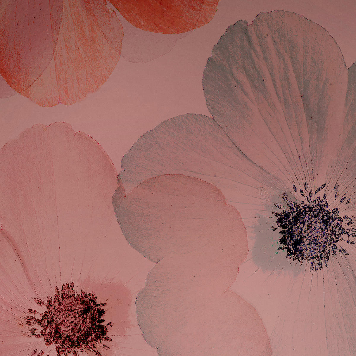 WENDEBETTWÄSCHE Satin 135/200 cm  - Rosa, Textil (135/200cm) - Novel