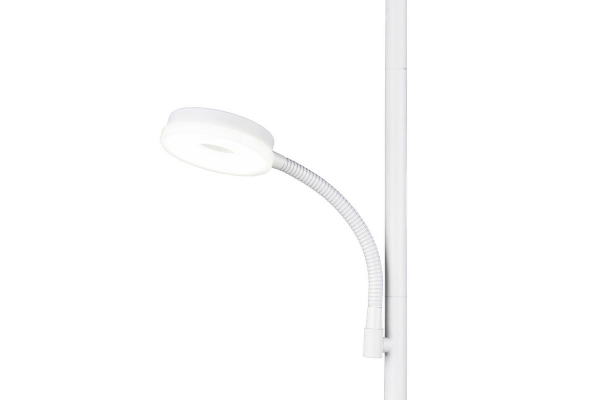 PODNA LED LAMPA - bela, Osnovno, metal/plastika (25/178cm)
