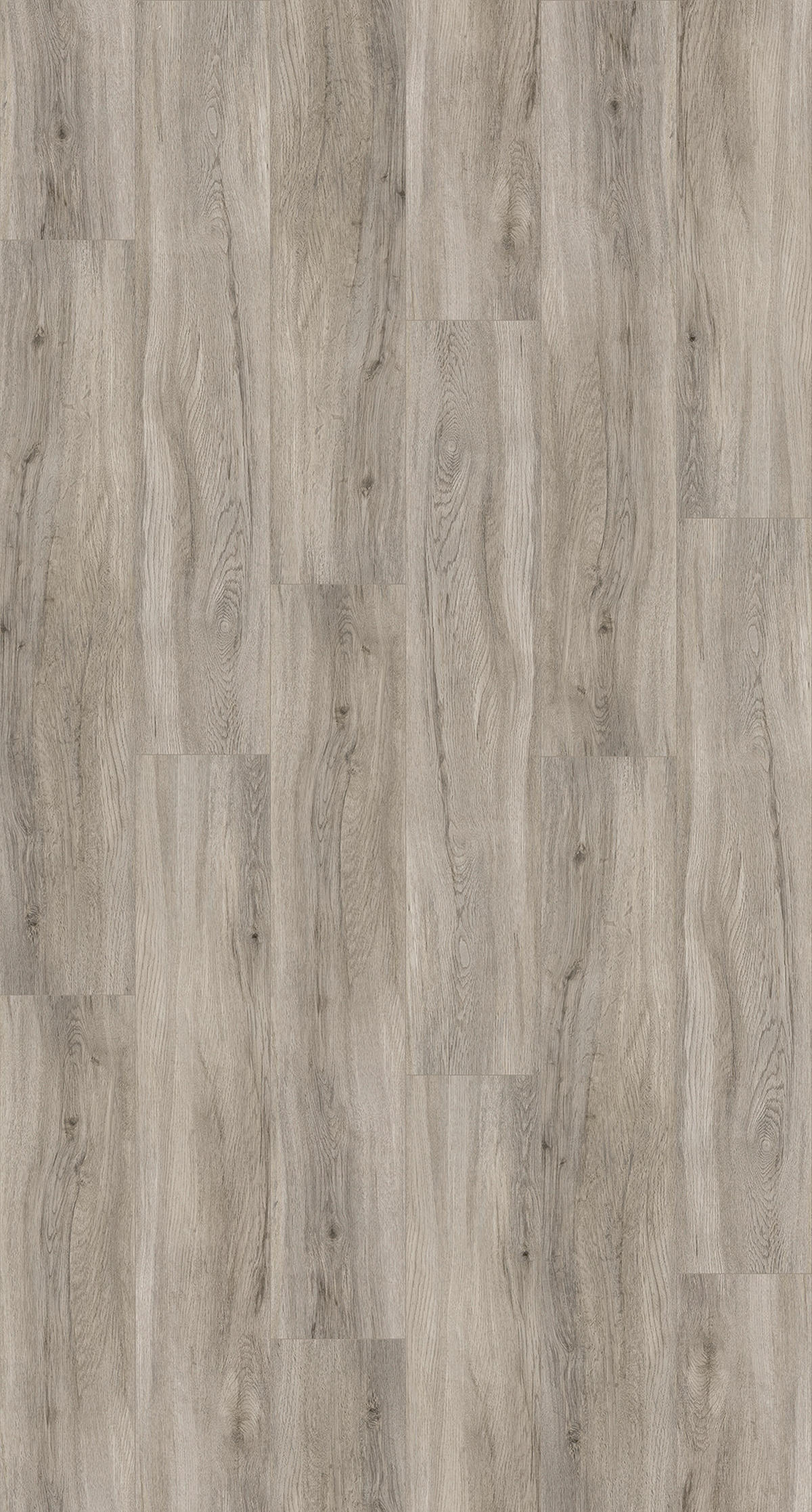Designboden Pastellgrau BASIC 5.3 1743005  per  m² - Eichefarben/Hellgrau, Basics, Kunststoff (120,9/22,5/0,53cm) - Parador