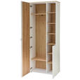GARDEROBENSCHRANK Bari  in 78/202/38 cm  - Silberfarben/Schwarz, Design, Glas/Holzwerkstoff (78/202/38cm) - Xora