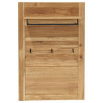 GARDEROBENPANEEL  in 80/120/30 cm  - Eichefarben, KONVENTIONELL, Holz/Holzwerkstoff (80/120/30cm) - Linea Natura
