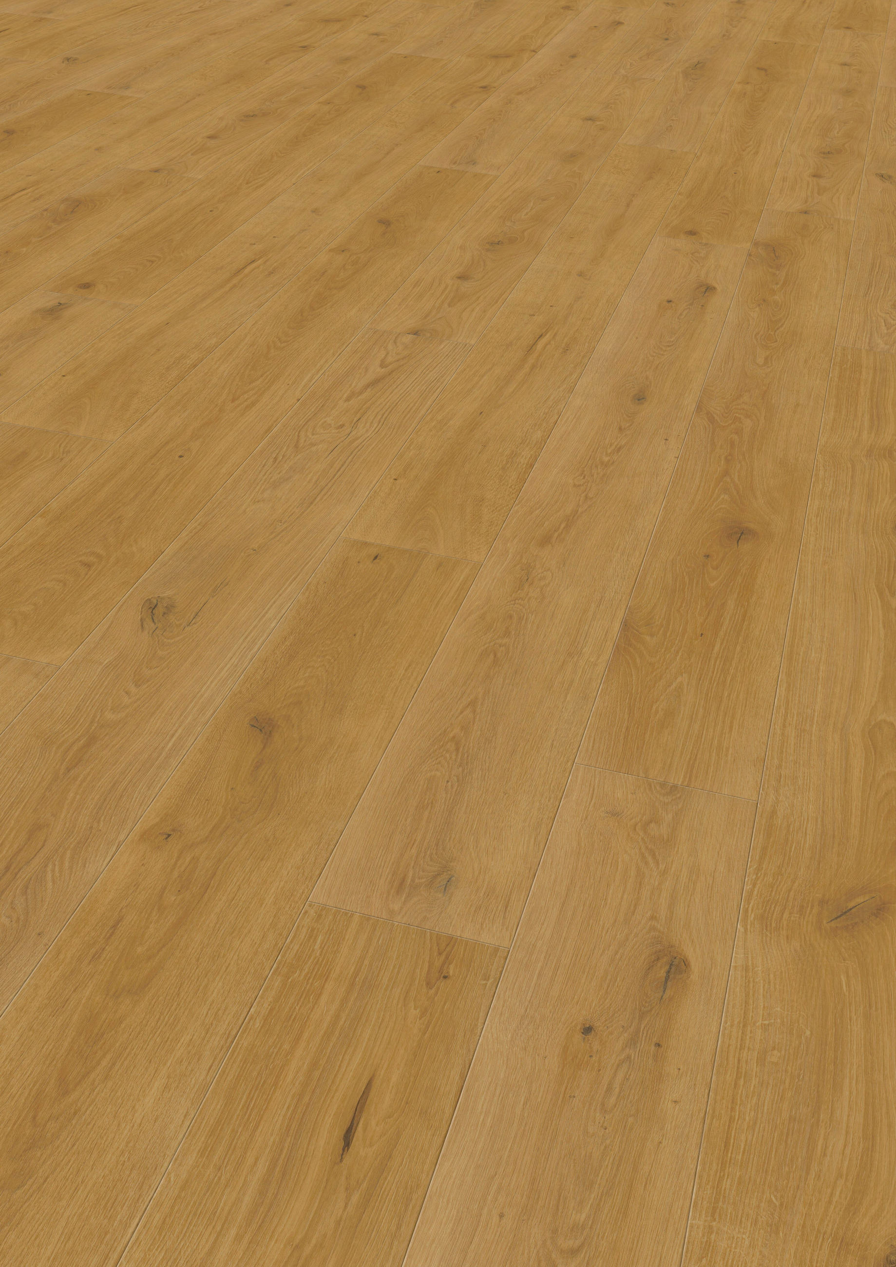 VINYLBODEN Elito Trend Eiche Natur 100004901  per  m² - Design, Holz (220/21,6/1cm) - Tilo