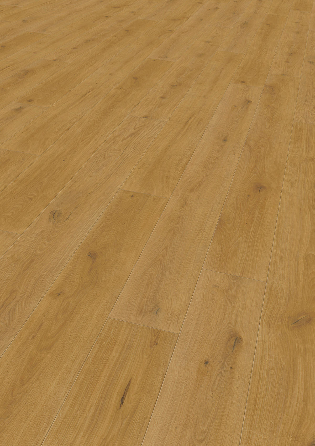 VINYLBODEN Elito Trend Eiche Natur 100004901  per  m² - Design, Holz (220/21,6/1cm) - Tilo