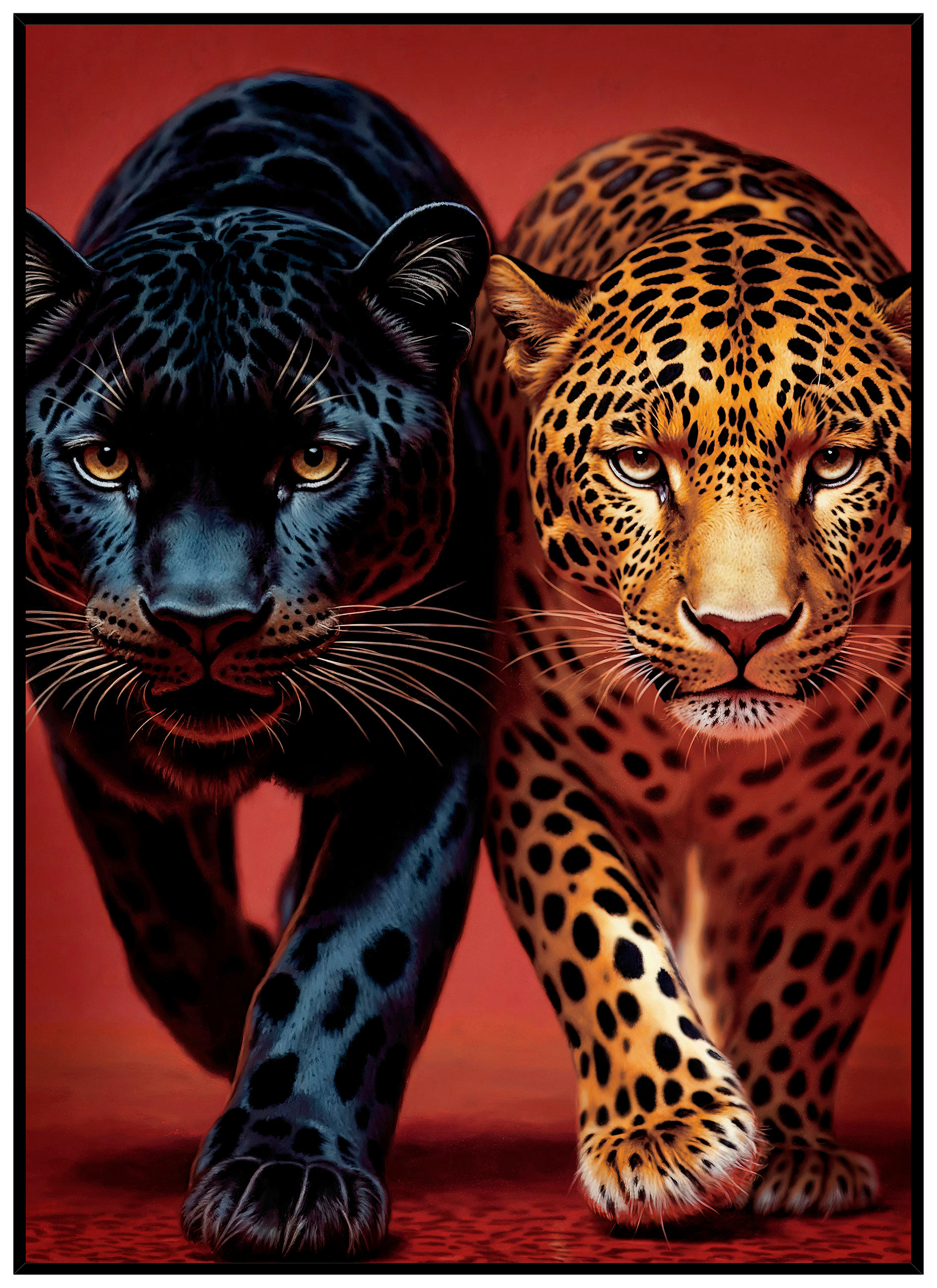 Monee OBRAZ NA SKLE, zvířata, 50/70 cm