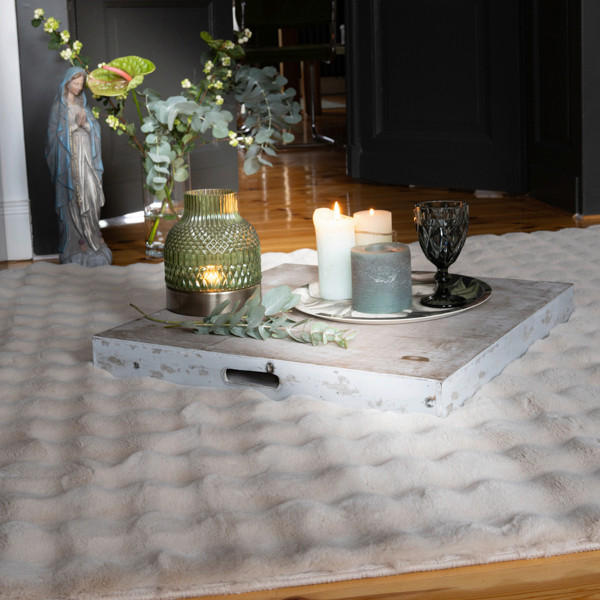 HOCHFLORTEPPICH 60/100 cm My Aspen  - Beige, Konventionell, Textil (60/100cm)