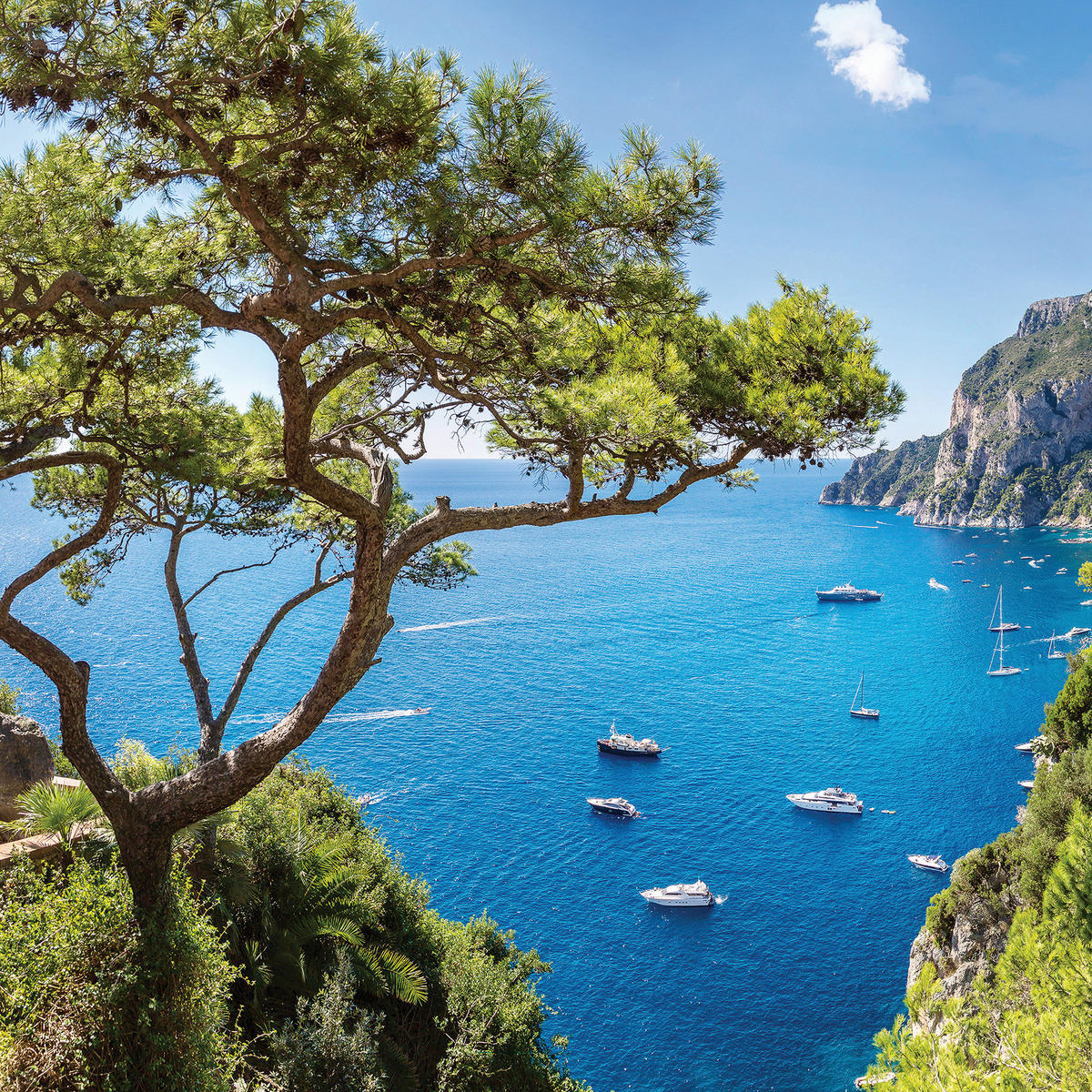 LEINWANDBILD Strand & Meer  - Multicolor, Natur, Holz/Papier (55/55/3cm)