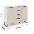 SIDEBOARD  in 120/92/42 cm  - Champagner/Dunkelgrau, Design, Holzwerkstoff/Metall (120/92/42cm) - Xora