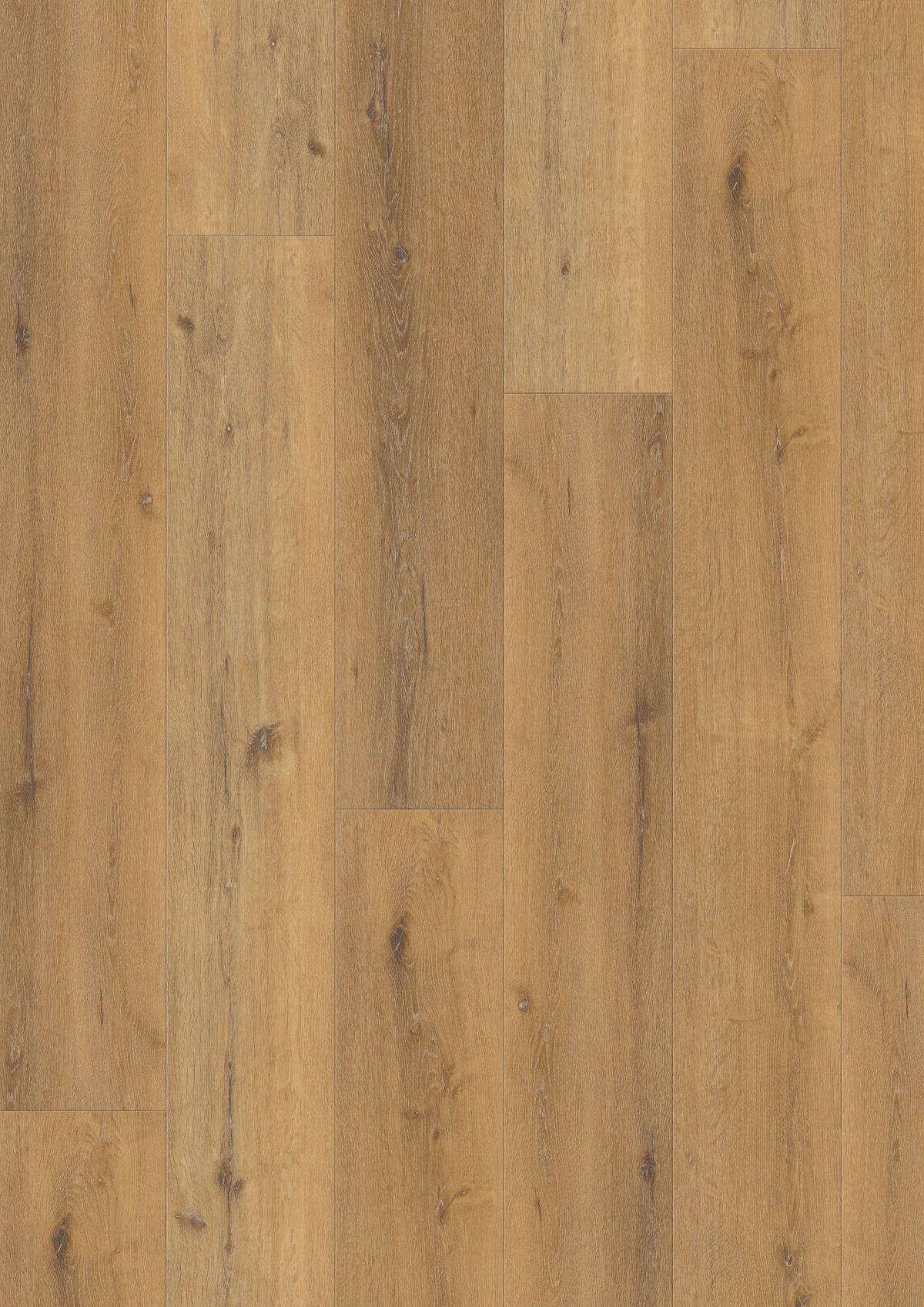VINYLBODEN GRANDO Eiche Savanne 100065801  per  m² - Eichefarben, Design, Holzwerkstoff (184/21,6/1cm) - Tilo
