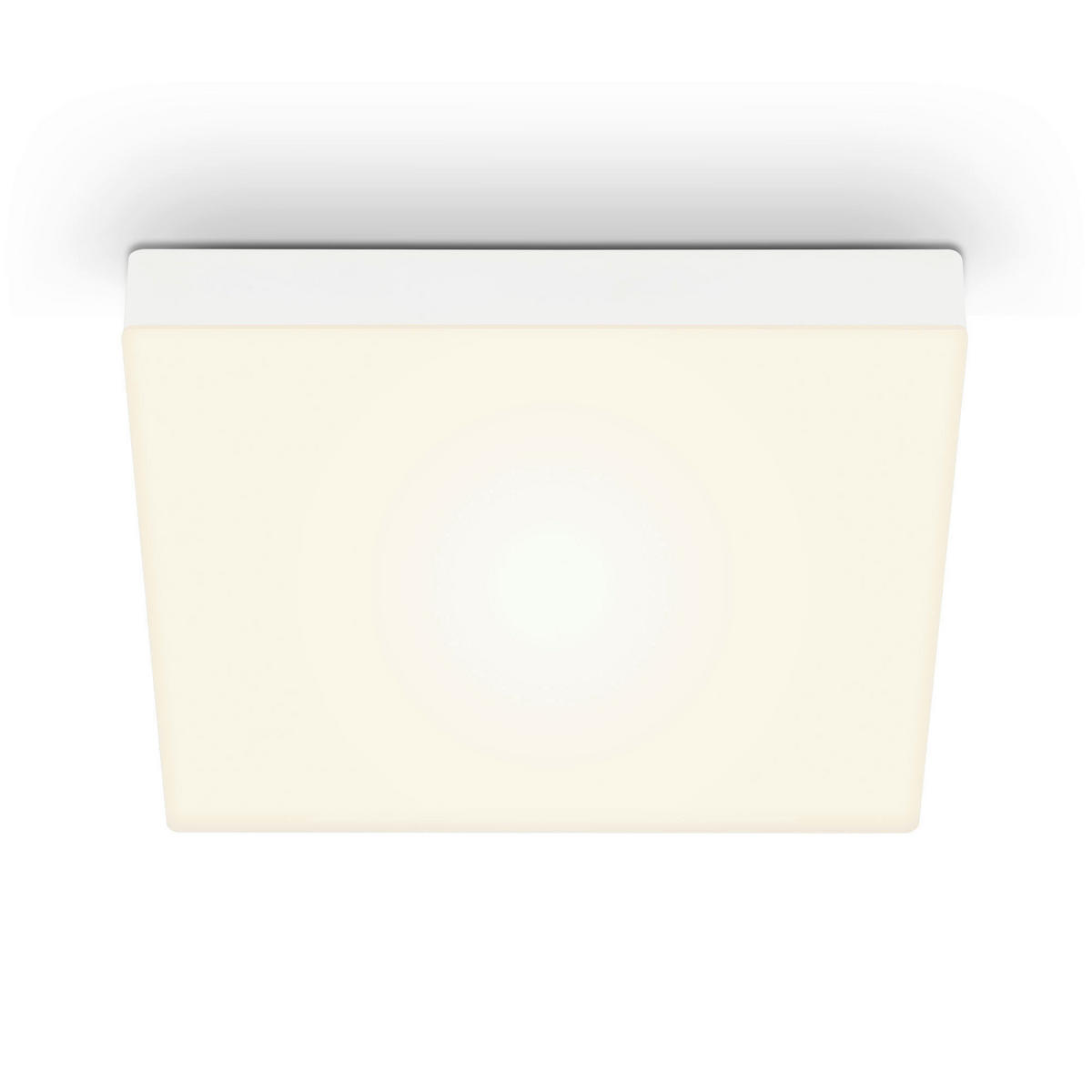STROPNÉ LED SVIETIDLO, 28,7/3,6/28,7 cm - biela, Basics, kov (28,7/3,6/28,7cm)