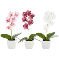 ORCHIDEE - Weiß/Grün, Basics, Keramik/Kunststoff (18cm)