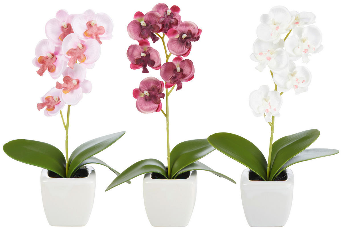 ORCHIDEE - Weiß/Grün, Basics, Keramik/Kunststoff (18cm)