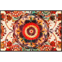 DVEŘNÍ ROHOŽKA, 50/75 cm, vícebarevná - vícebarevná, Lifestyle, textil/plast (50/75cm)
