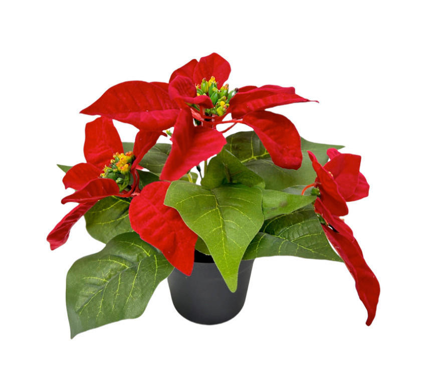 WEIHNACHTSSTERN  - Hellrot, LIFESTYLE, Kunststoff (20cm)