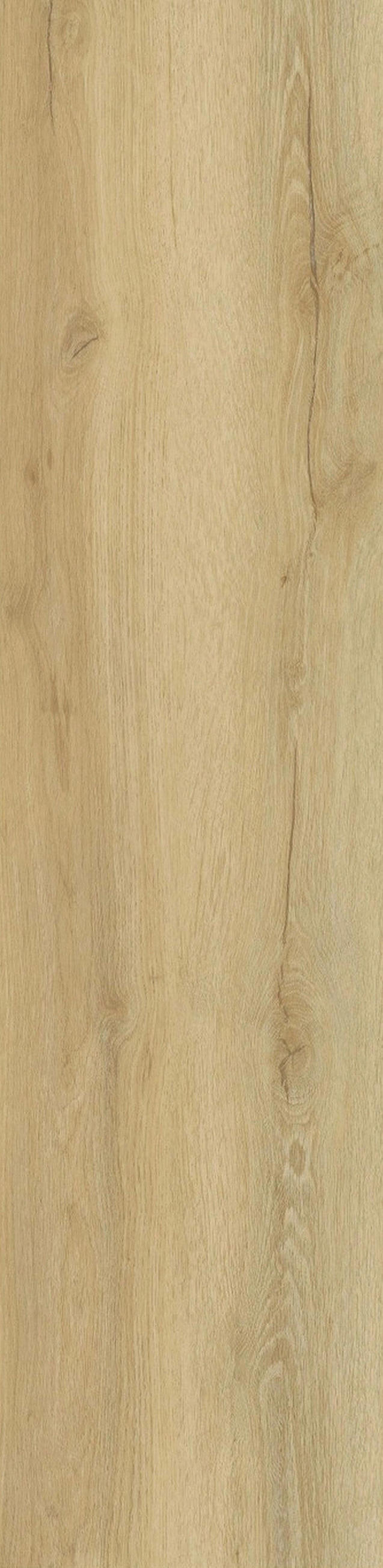 VINYLBODEN, Eiche Fortis  per  m² - Design, Holzwerkstoff (121/28,8/0,98cm) - Tilo