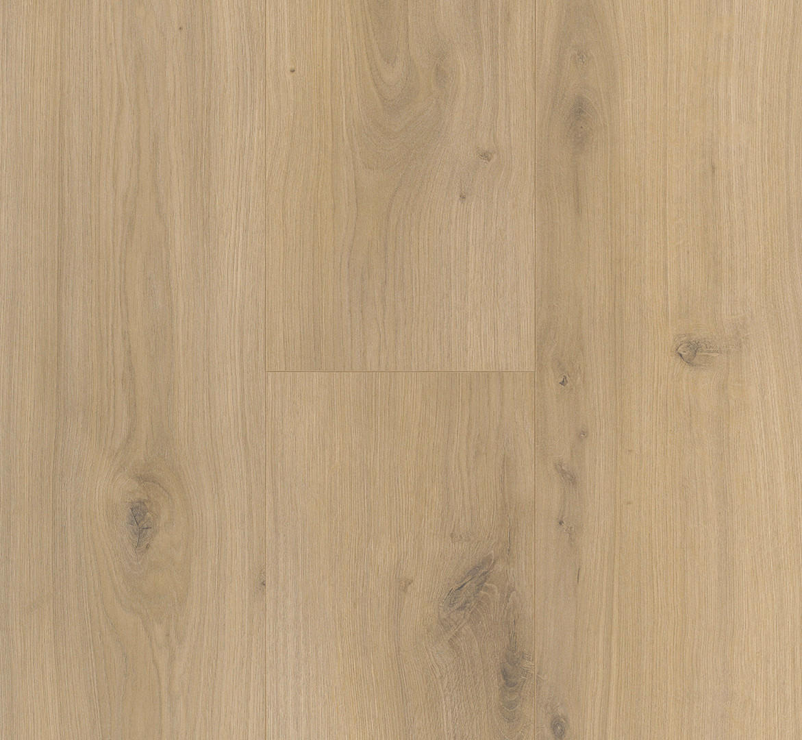 LAMINATBODEN Laminat Basic 400  per  m² - Eichefarben, Basics, Holzwerkstoff (128.5/19.4/0.8cm) - Parador