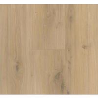 LAMINATBODEN Laminat Basic 400  per  m² - Eichefarben, Basics, Holzwerkstoff (128.5/19.4/0.8cm) - Parador