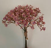 GYPSOPHILA  - Altrosa, Basics, Kunststoff (30cm)
