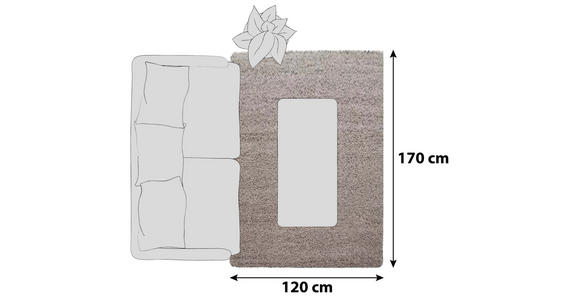 HOCHFLORTEPPICH 120/170 cm Dream Beige - Beige, KONVENTIONELL, Textil (120/170cm) - Novel