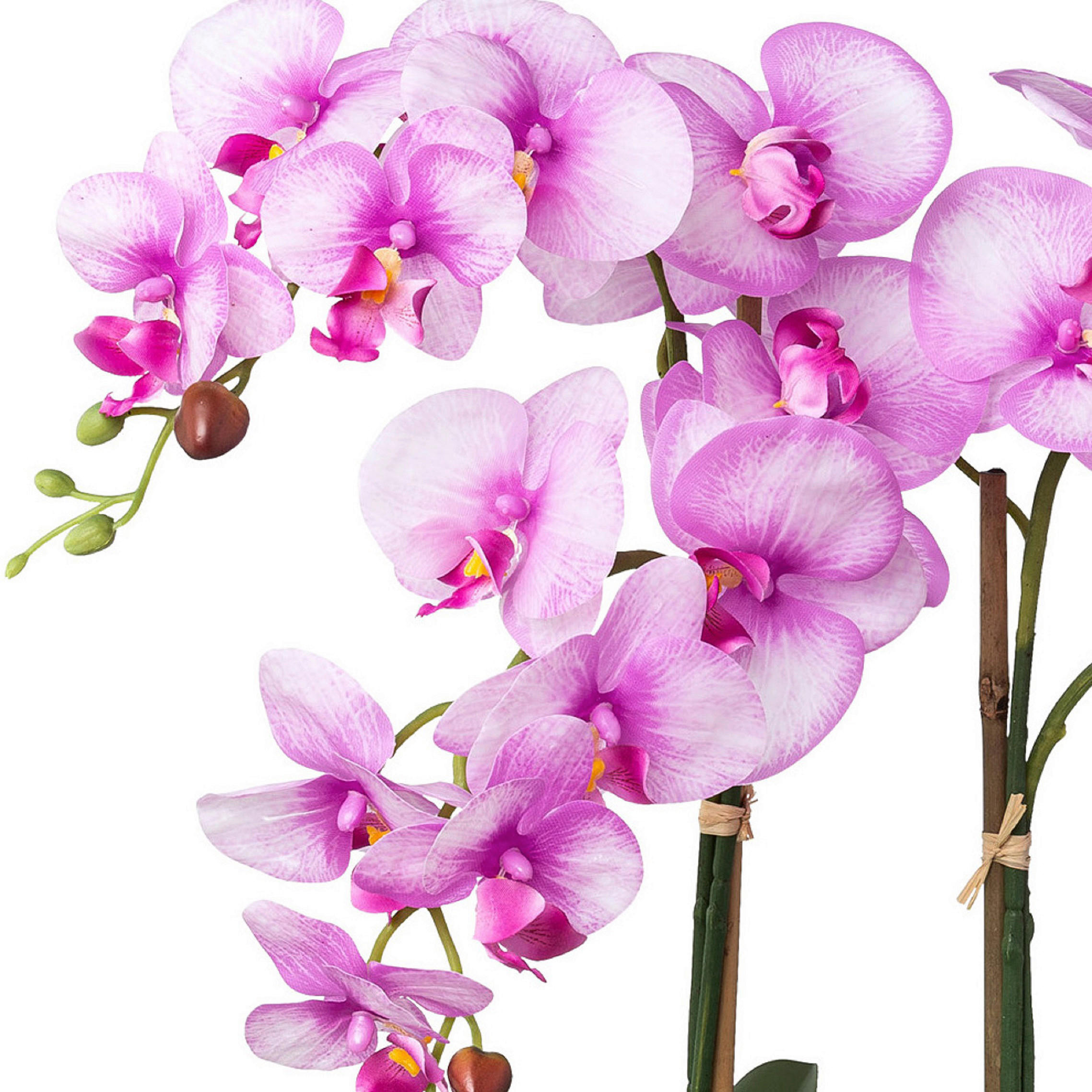 KUNSTPFLANZE Orchidee 53 cm  - Lila/Weiß, Design, Keramik/Kunststoff (53cm) - P & B