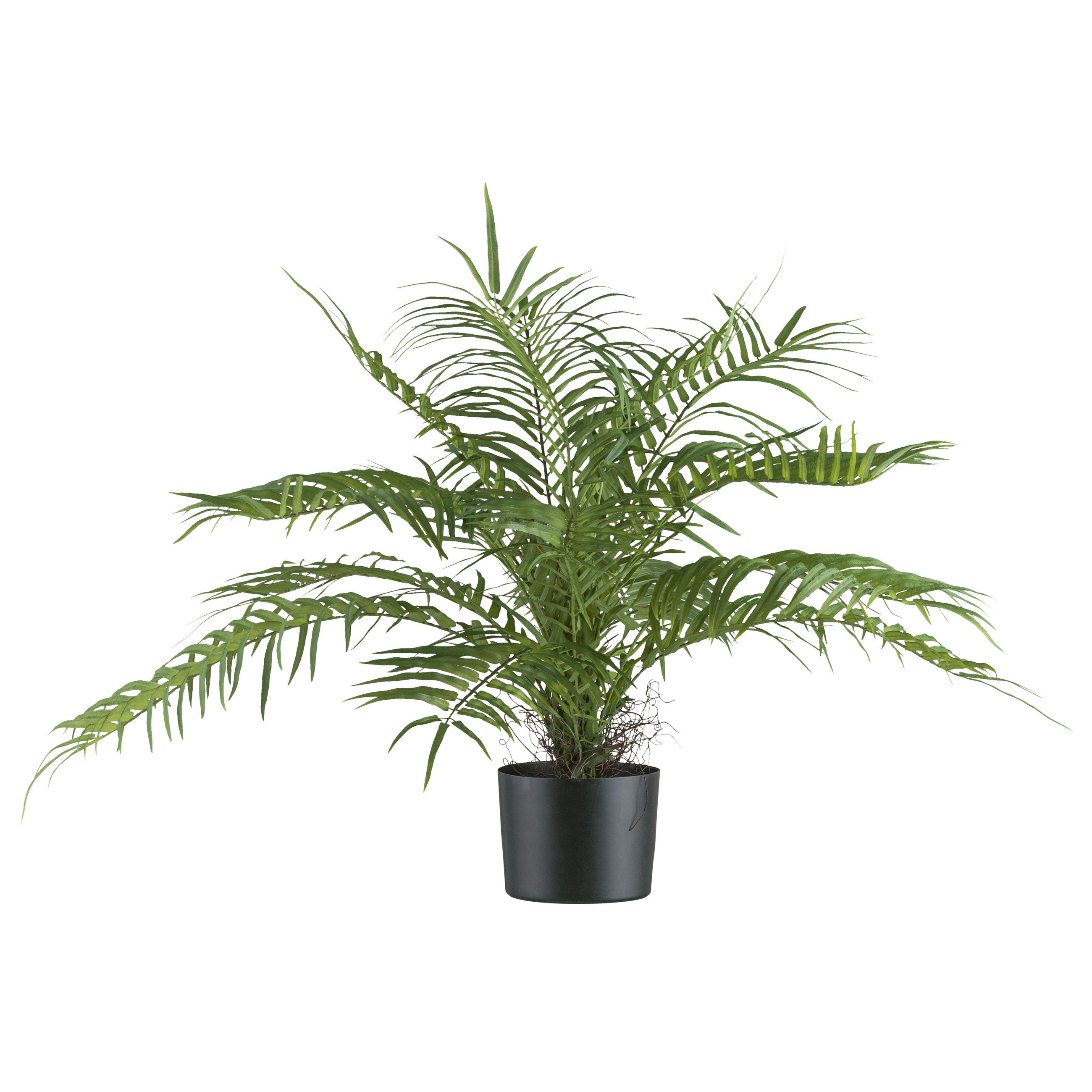 KUNSTPFLANZE Palme 70 cm  - Schwarz/Grün, Design, Kunststoff (70cm)