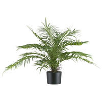 KUNSTPFLANZE Palme 70 cm  - Schwarz/Grün, Design, Kunststoff (70cm)