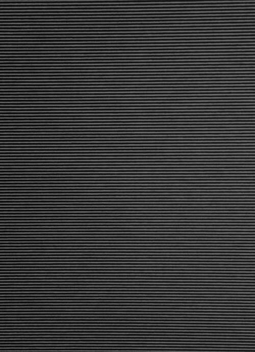 FLÄCHENVORHANG   transparent   60/245 cm  - Schwarz, Basics, Textil (60/245cm)