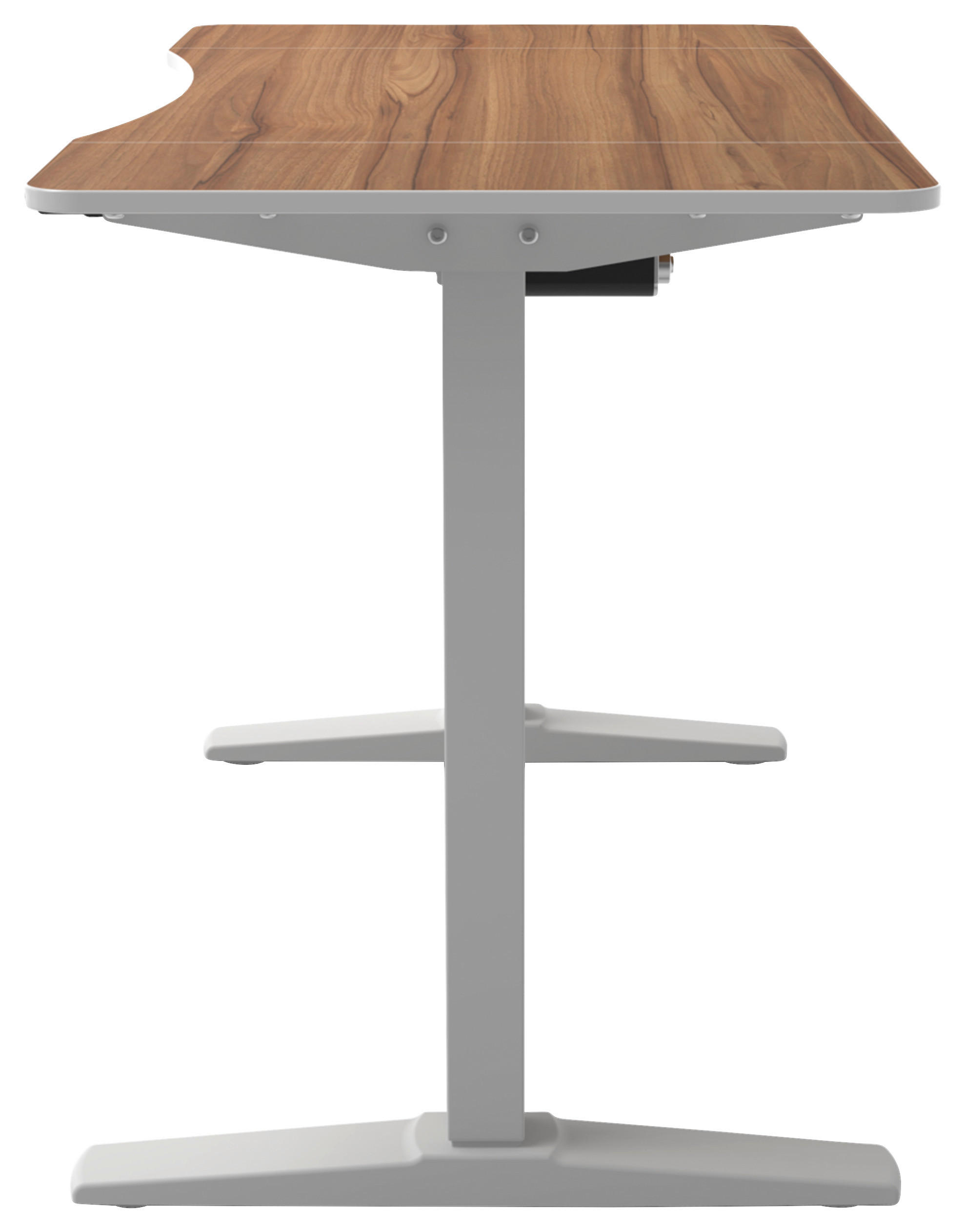 SCHREIBTISCH  in Weiss, Walnussfarben  - Weiss/Walnussfarben, Modern, Holzwerkstoff/Kunststoff (120/75-120/70cm) - MID.YOU