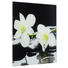 Glasbild "Refreshing" - Multicolor, Basics, Glas (20/20cm) - Eurographics