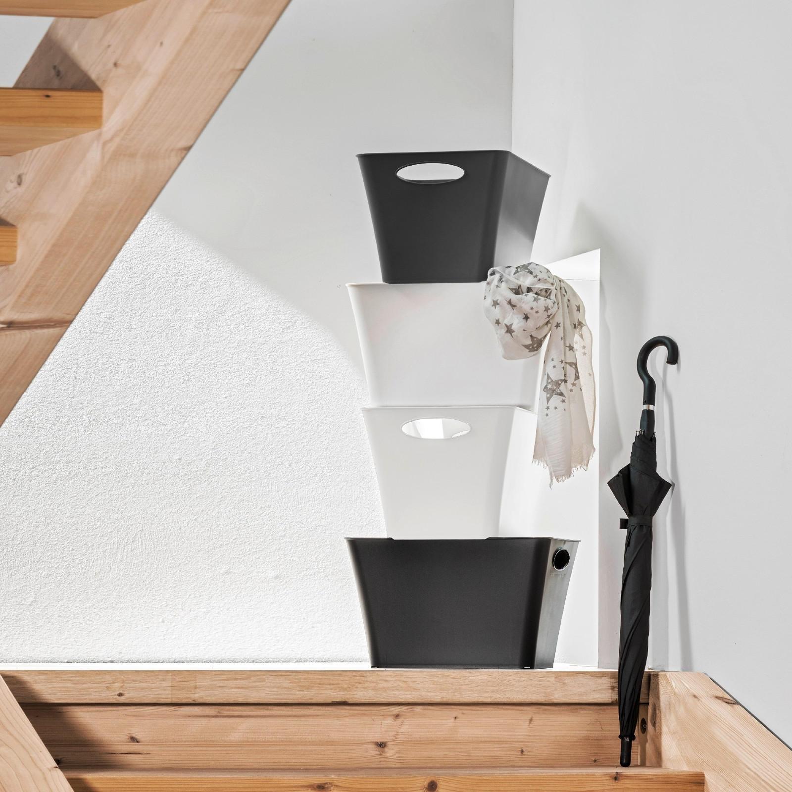 BOX - Weiß, Basics, Kunststoff (18/13.4/9cm) - Rotho