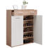 SCHUHSCHRANK 90/120/36 cm - Silberfarben/Weiß, Design, Holzwerkstoff/Kunststoff (90/120/36cm) - Carryhome SCHUHSCHRANK 90/120/36 cm - Silberfarben/Weiß, Design, Holzwerkstoff/Kunststoff (90/120/36cm) - Carryhome