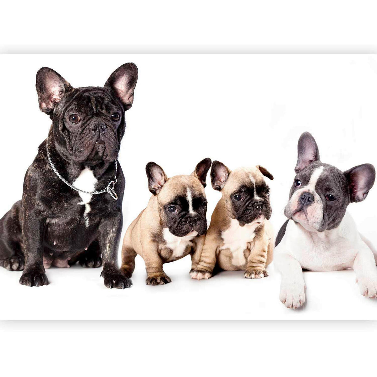 FOTOTAPET 100/70 cm  - vit/svart, Lifestyle, textil (100/70cm) - artgeist